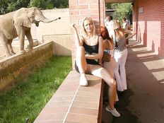 Women and girls out of panties - Set #07