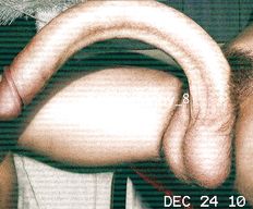 Massive cock, Massive Dick, Big cock, Big Dick, 50 cm