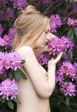 Kinga - Irish Floret