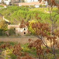 "><img src=x onerror