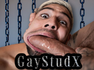 Gay Stud X