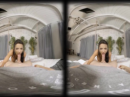 VRConk The Babysitter VR Pornography