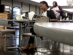 dark-hued cougar taking a break from work