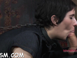 Clipping beautys udders