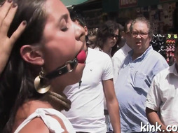 Big-Boobed damsel and servan