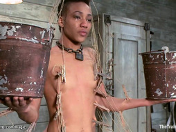 Ebony bound in web of zippers