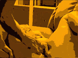 ANOTHER HOT CARTOON VIDEO 2