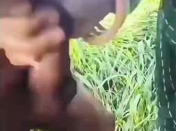 Farmer fucks a lady laborer on the farm to enjoy outdoor sexTelegram @ZodxKing